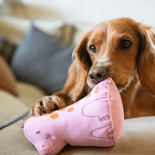 Pink Dinosaur Dog Toy